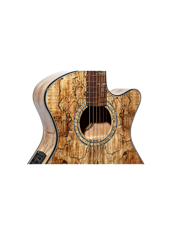 EOS 2S2 NAT Spalted Maple - Image 4