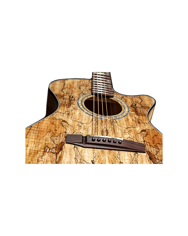 EOS 2S2 NAT Spalted Maple - Image 5