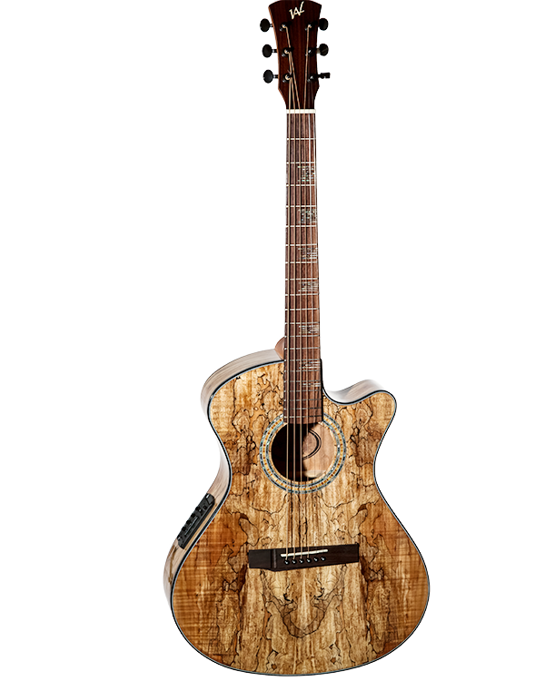 EOS 2S2 NAT Spalted Maple - Image 2