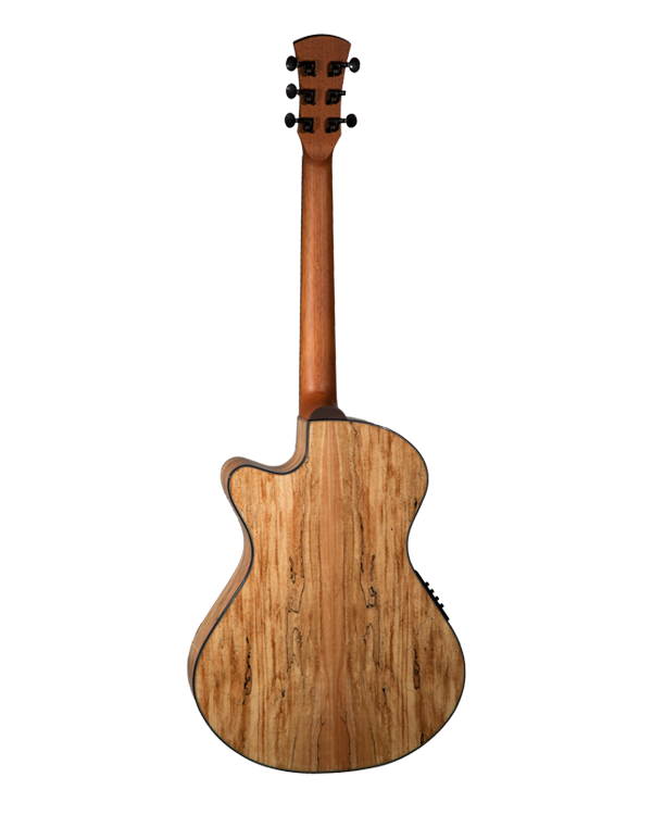 Cybele 2S2 NAT Spalted Maple - Image 3