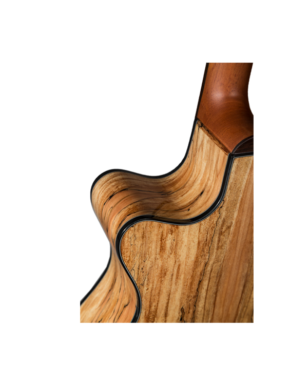 Cybele 2S2 NAT Spalted Maple - Image 6