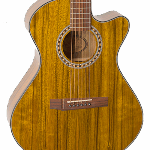 Cybele 2D2 NAT Dao Wood