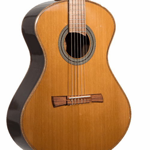 Cybele 1310 C NAT Nylon String Crossover