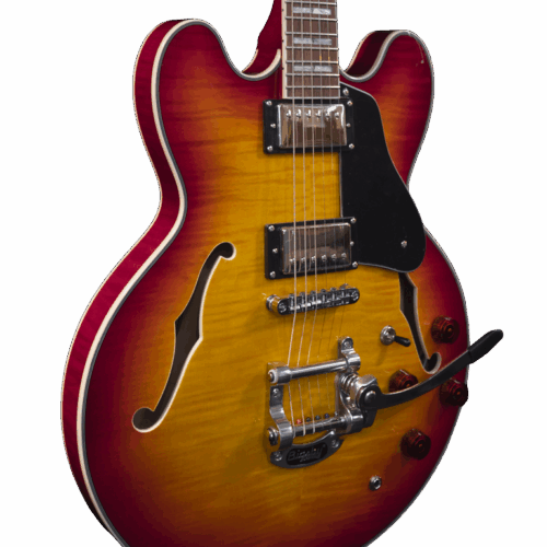 AH 880 TS Semi Hollow Body