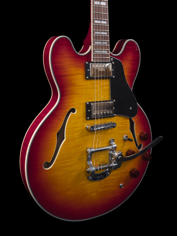 AH 880 TS Semi Hollow Body - Image 6